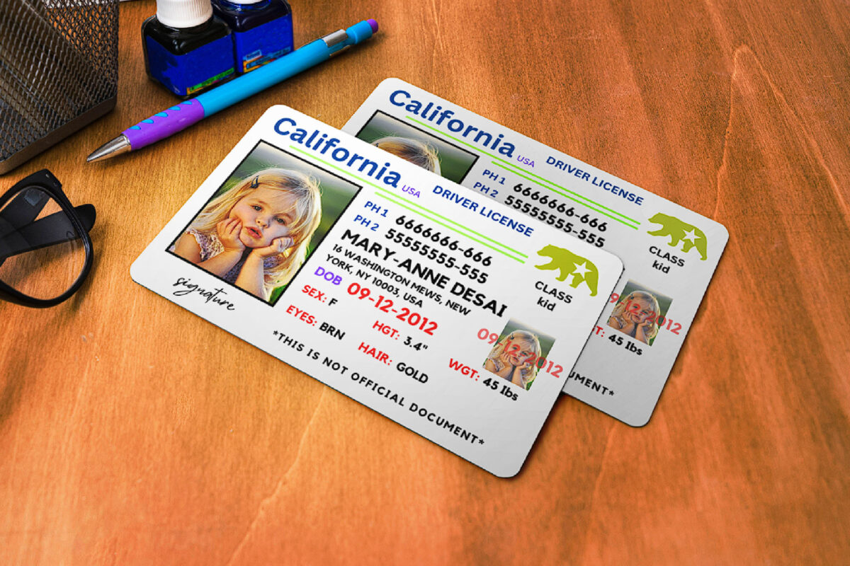 California ID Card, Personalized Photo Id Card TEMPLATE ,California ID Card Safety, Custom Diy on Canva, Printable at Home, Realistic for Fun and Travel