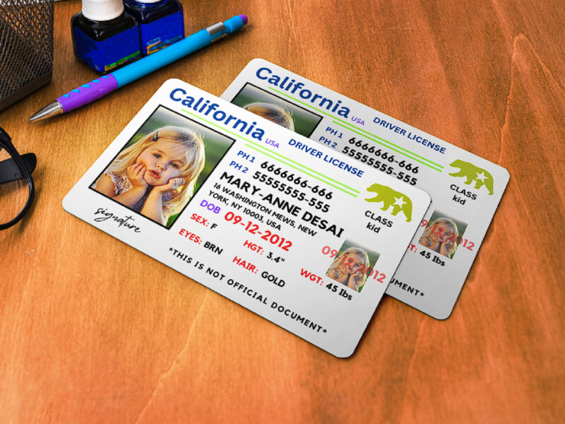 California ID Card, Personalized Photo Id Card TEMPLATE ,California ID Card Safety, Custom Diy on Canva, Printable at Home, Realistic for Fun and Travel