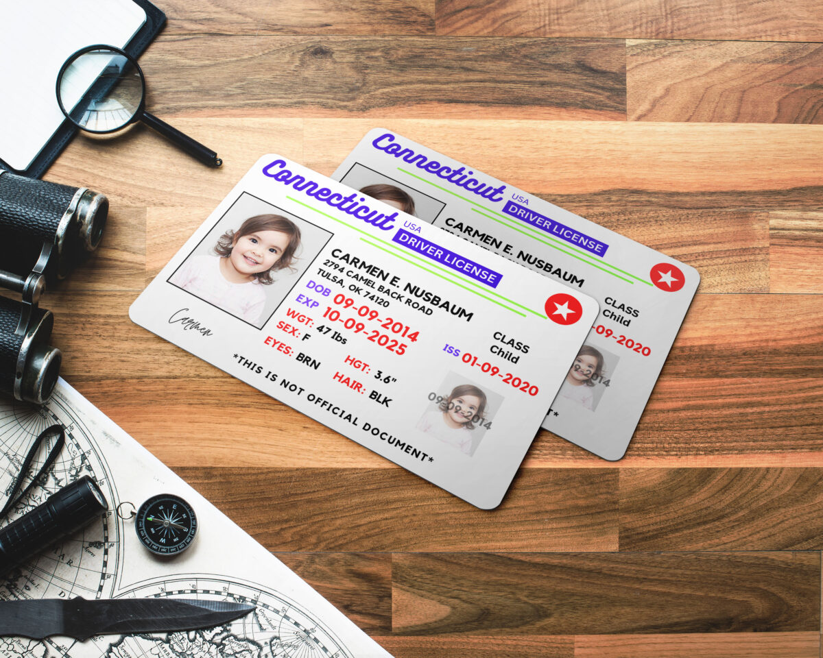 Connecticut ID Card, Personalized Photo Id Card TEMPLATE ,Connecticut ID Card Safety, Custom Diy on Canva, Printable at Home, Realistic for Fun and Travel