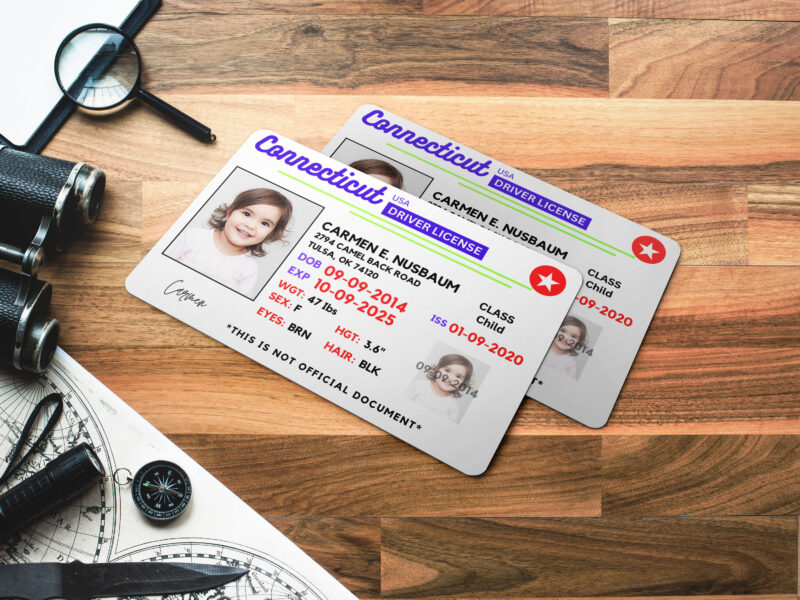 Connecticut ID Card, Personalized Photo Id Card TEMPLATE ,Connecticut ID Card Safety, Custom Diy on Canva, Printable at Home, Realistic for Fun and Travel