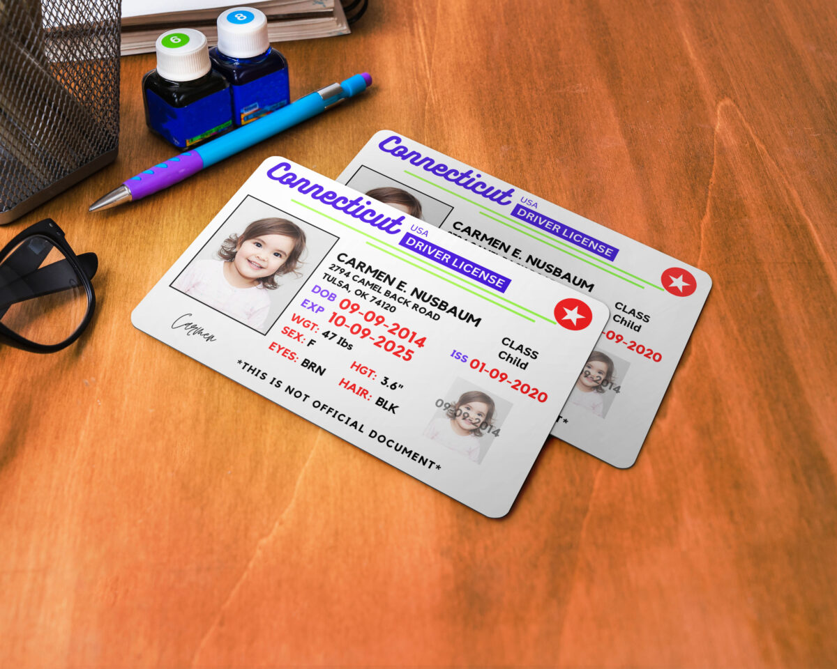 Connecticut ID Card, Personalized Photo Id Card TEMPLATE ,Connecticut ID Card Safety, Custom Diy on Canva, Printable at Home, Realistic for Fun and Travel - Image 2