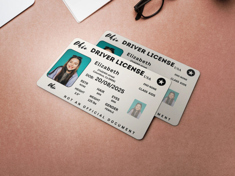 Ohio , ID Card, Personalized, Photo Id, Card ,TEMPLATE ,Ohio ID Card, Safety, Custom Diy , Canva, Printable , Home, Realistic , Fun , Travels