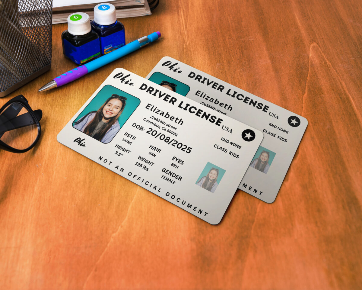 Ohio , ID Card, Personalized, Photo Id, Card ,TEMPLATE ,Ohio ID Card, Safety, Custom Diy , Canva, Printable , Home, Realistic , Fun , Travels - Image 4