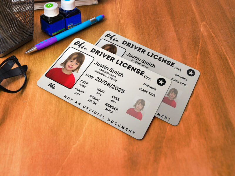 Ohio ID Card, Personalized Photo Id Card TEMPLATEOhio ID Card Safety, Custom Diy on Canva, Printable at Home, Realistic for Fun and Travel