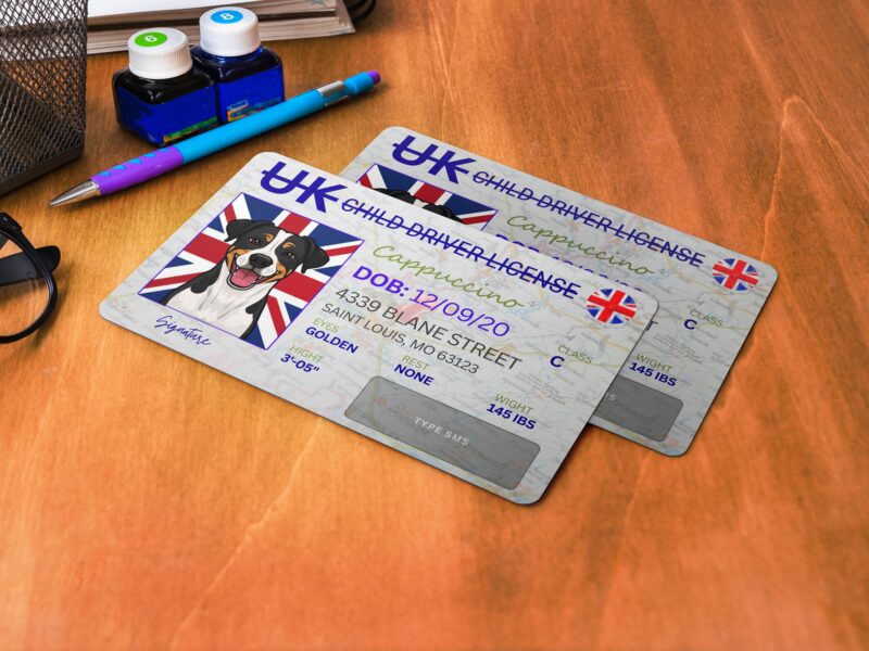 Printable UK Funny Child Driving License, Personalized  Play ID Card, Identity Card In Canvas free Editable.